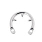 Punisher the Lion Stainless Steel Chastity
