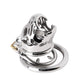 Punisher the Lion Stainless Steel Chastity